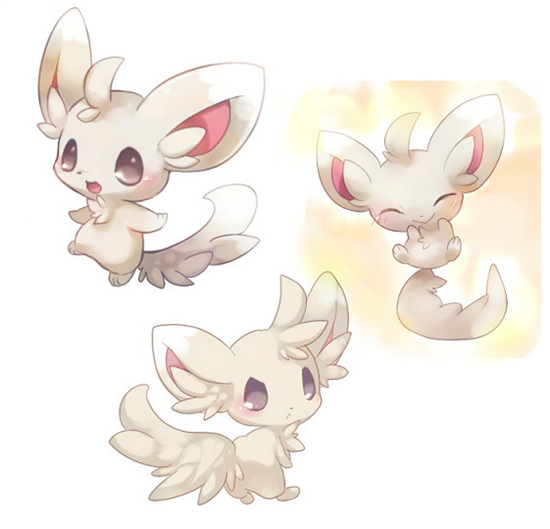 的微博-相片内容